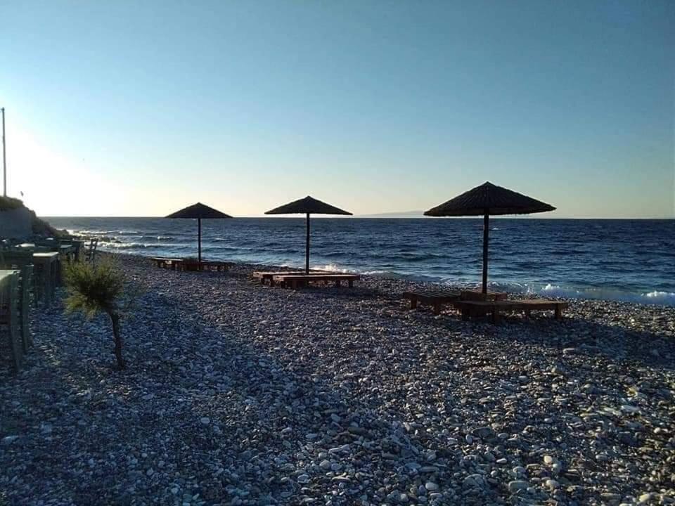 Despoina SEASIDE APARTMENT Ágios Konstantínos Exterior foto